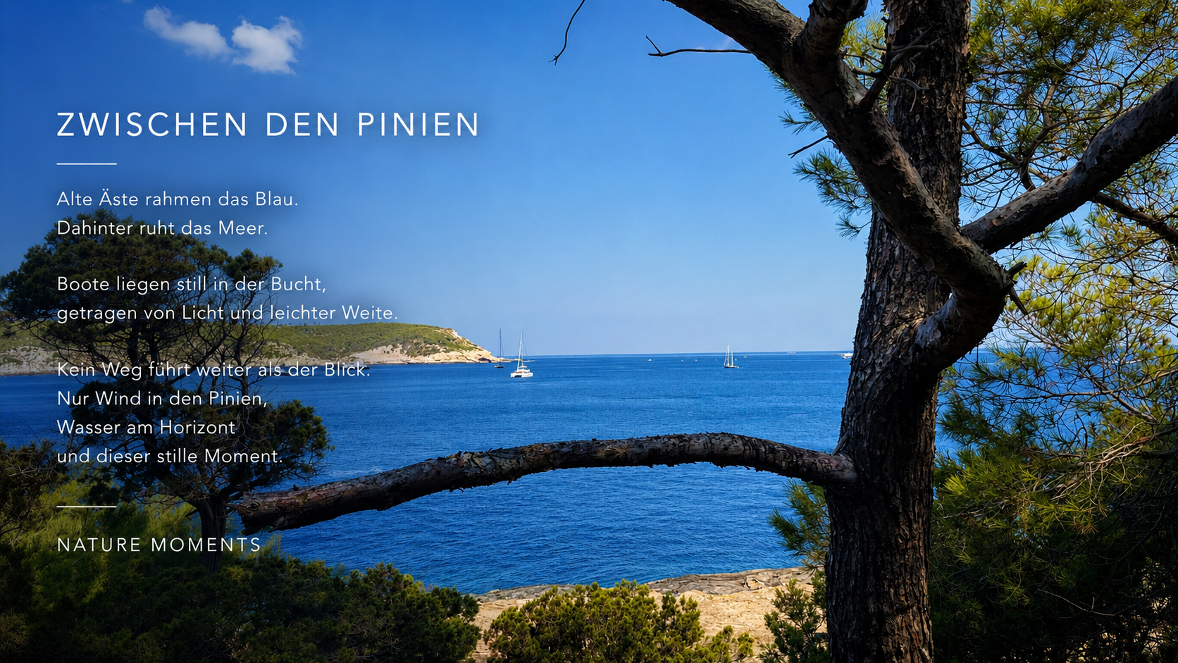 Zwischen den Pinien