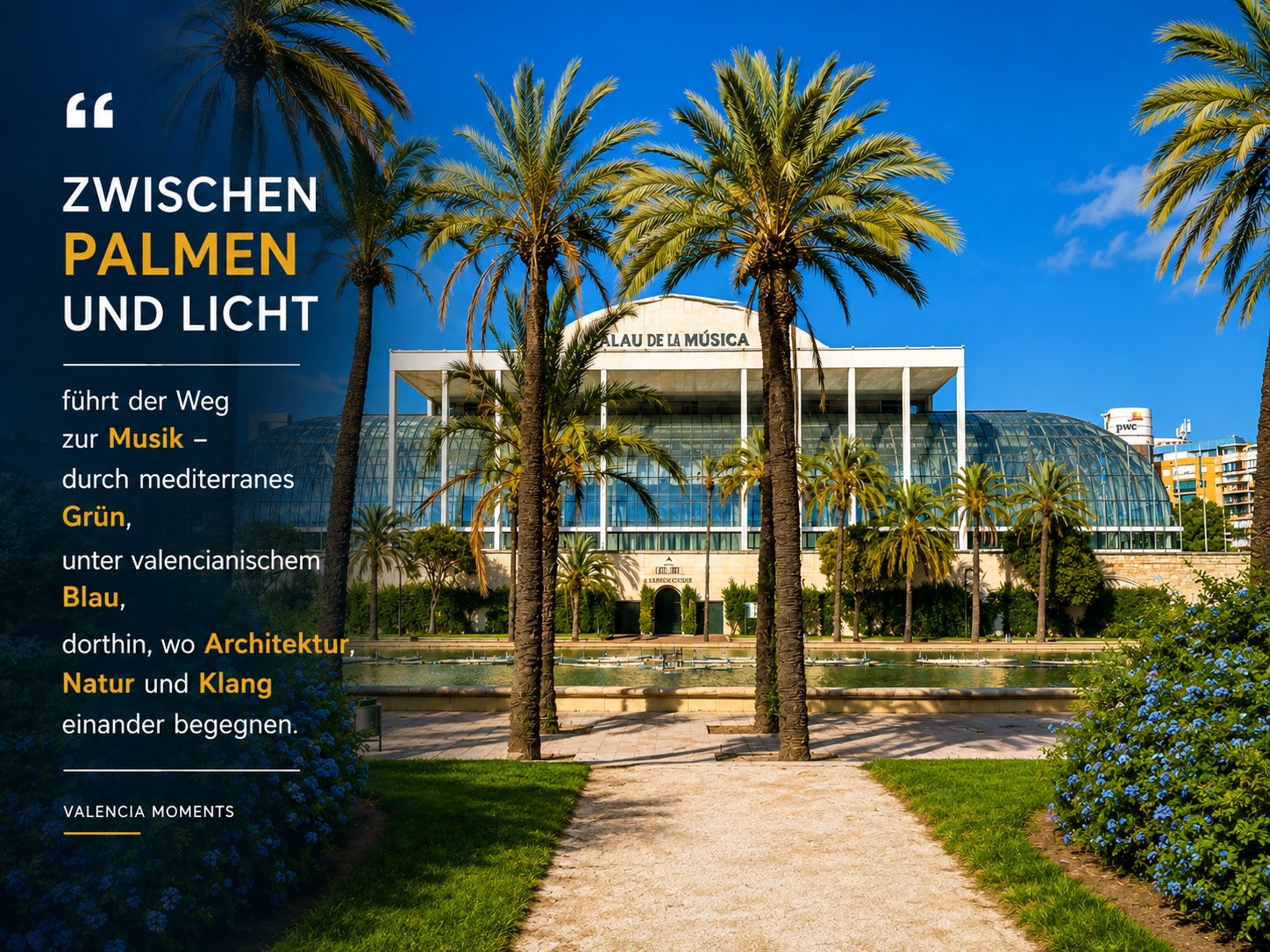 Zwischen Palmen und Licht